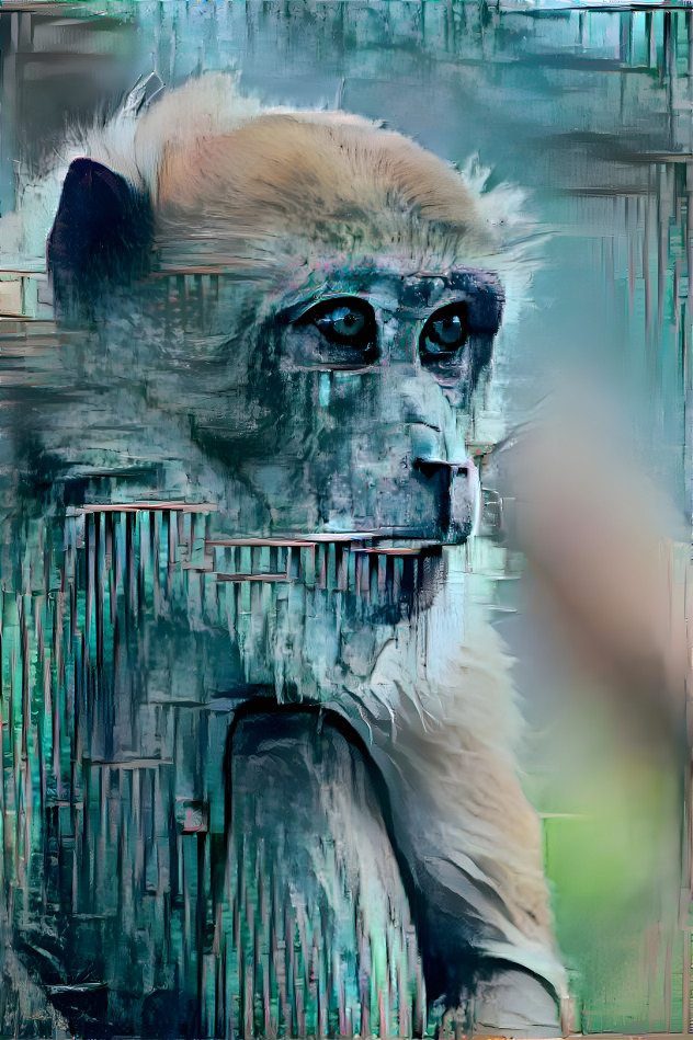 Blue Monkey