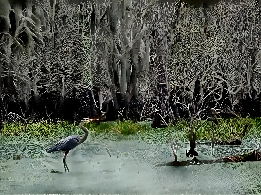 Winter in a Louisiana swamp 