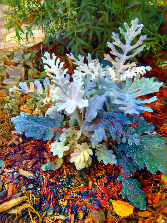 DUSTY MILLER ELSIE'S STYLE