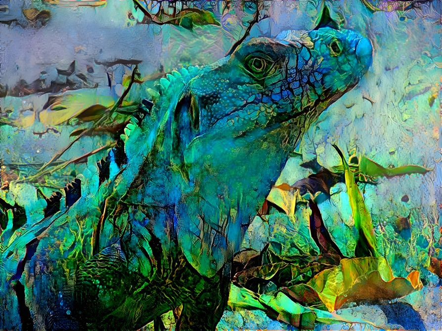 Iguana