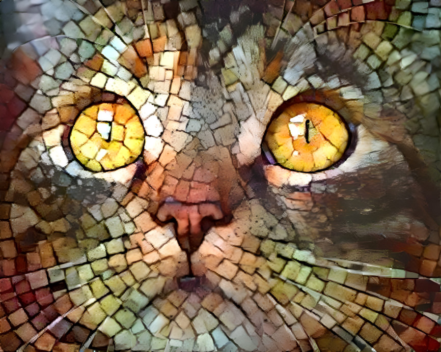 Mosaic Golden Stare