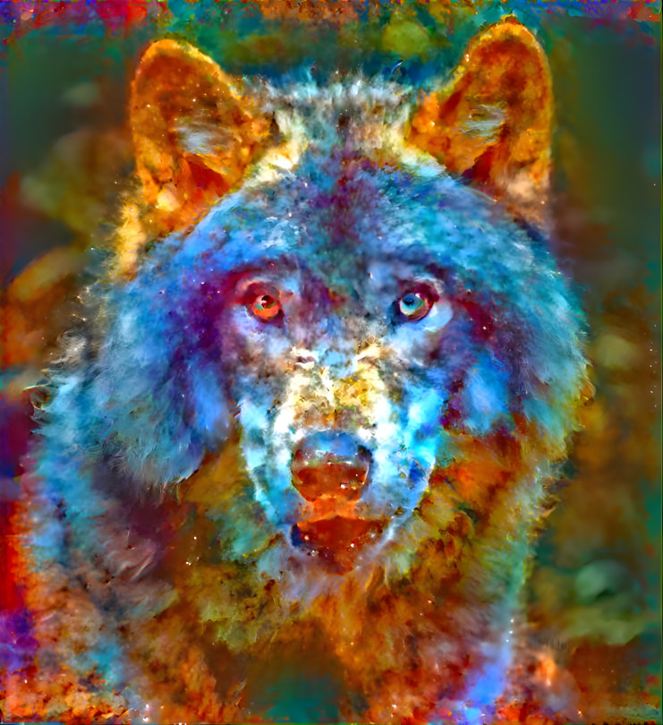 Rainbow wolf