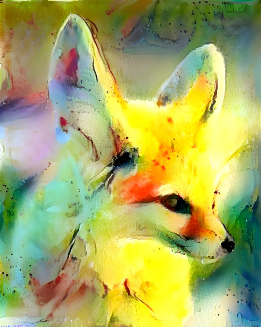 Fennec in sun