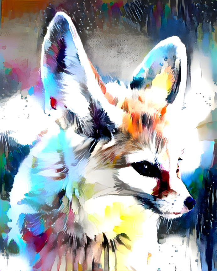 Colourful Fennec