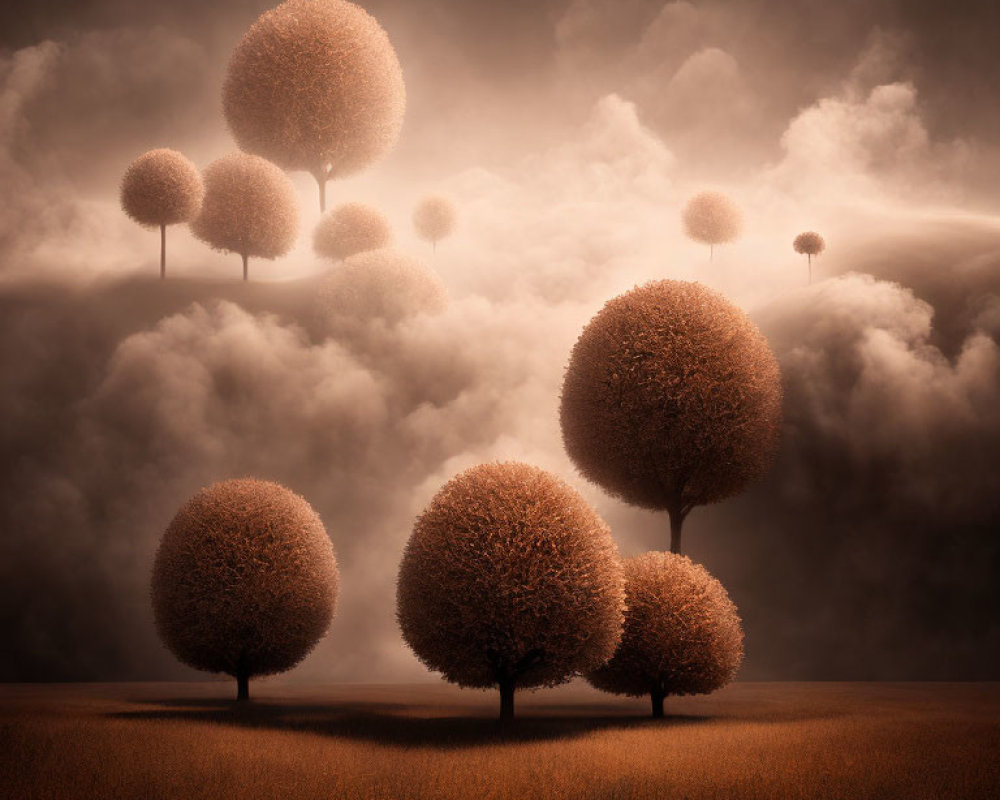 Surreal landscape featuring round-top trees, amber field, and sepia sky