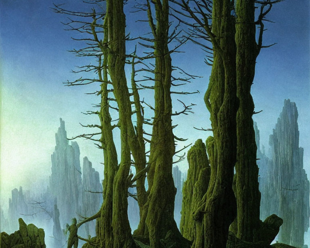 Enigmatic forest scene with tall trees and cloaked figure