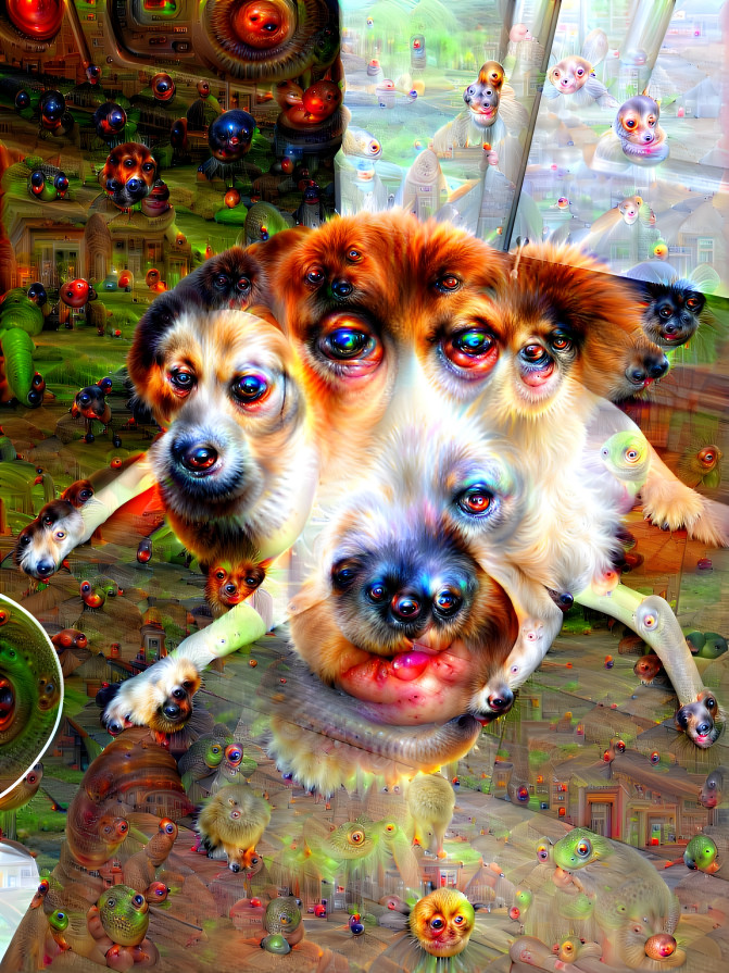 My dog as a deep dream