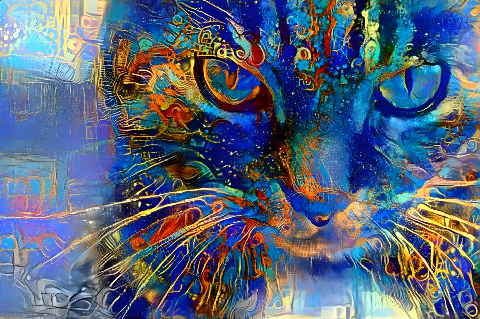 Colorful Cat