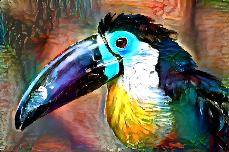 Toucan