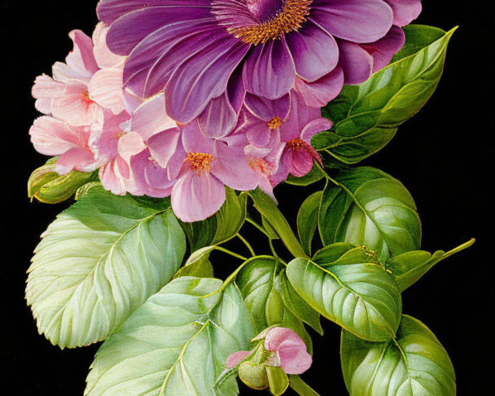 Detailed botanical illustration of large purple flower, pink blossoms, and green leaves on black background