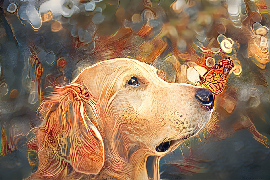 Dog and butterfly 