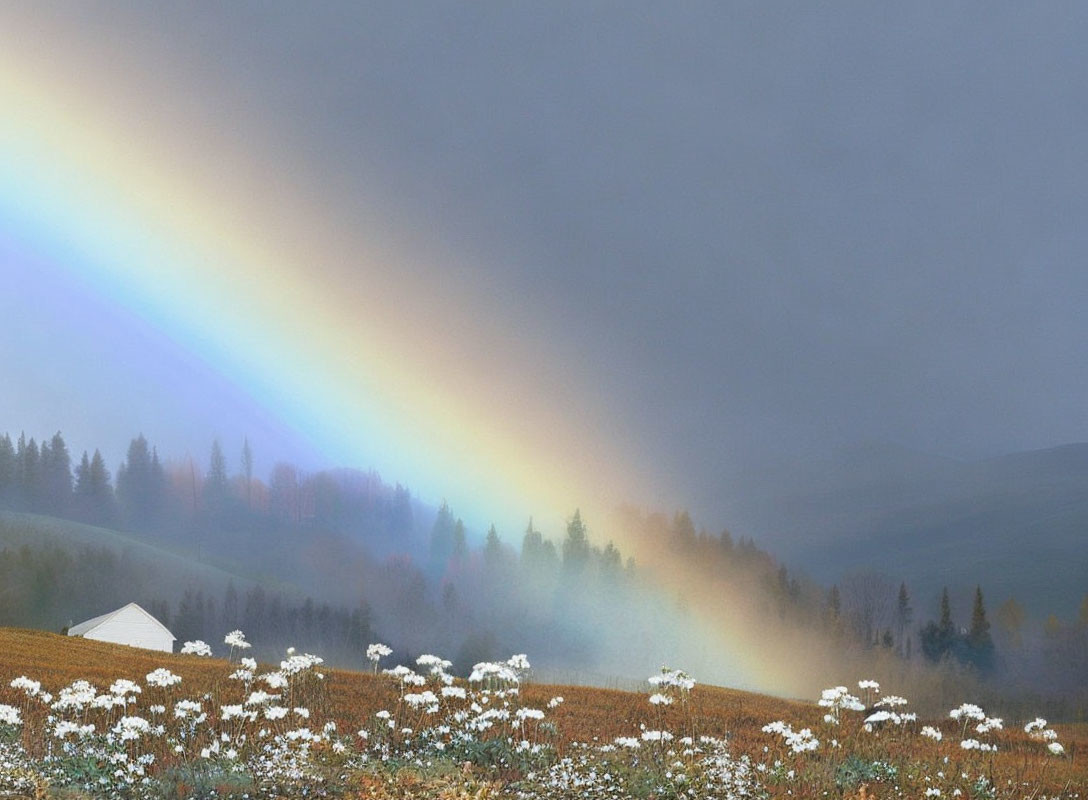 Colorful Rainbow Over Misty Landscape with Trees and White House