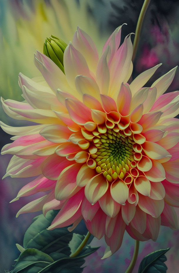 Close-up of vibrant dahlia flower with pink and yellow petals against blurred background