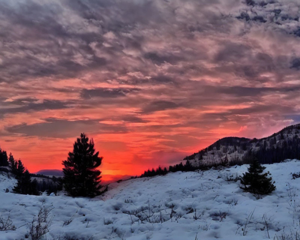 Fiery red and purple sunset over snowy landscape