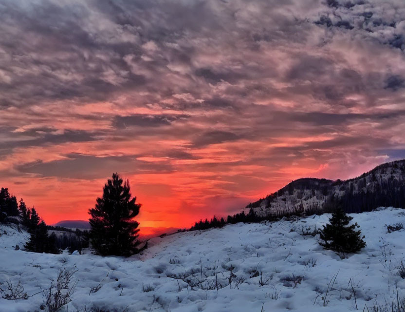 Fiery red and purple sunset over snowy landscape