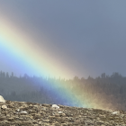 Colorful Rainbow Over Misty Landscape with Trees and White House