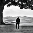 Person in jacket and beanie under tree looking at rolling hills