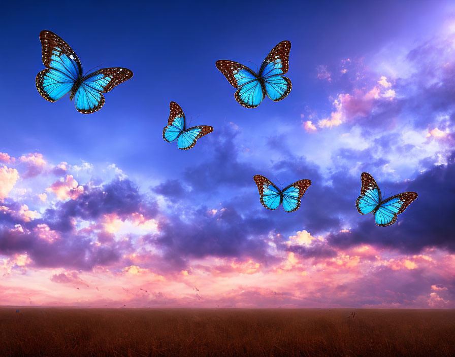 Vibrant blue butterflies in flight against dramatic purple and golden sky.