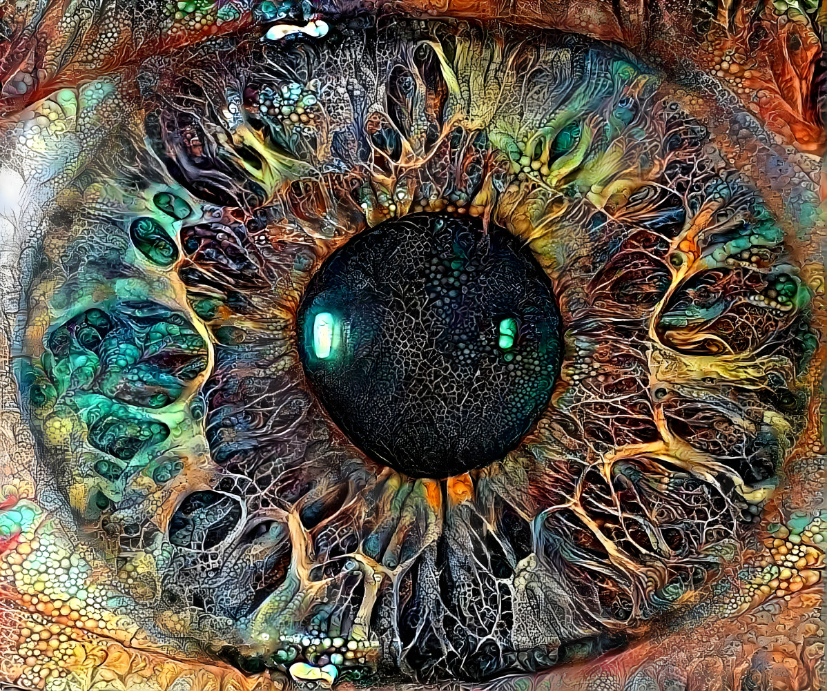 Eye