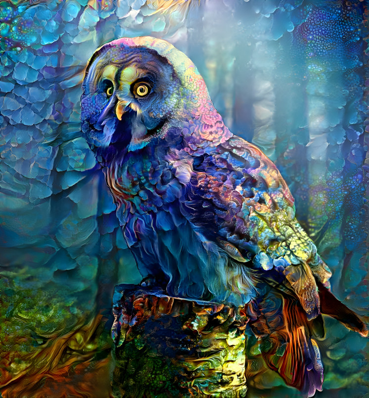 Owl dream