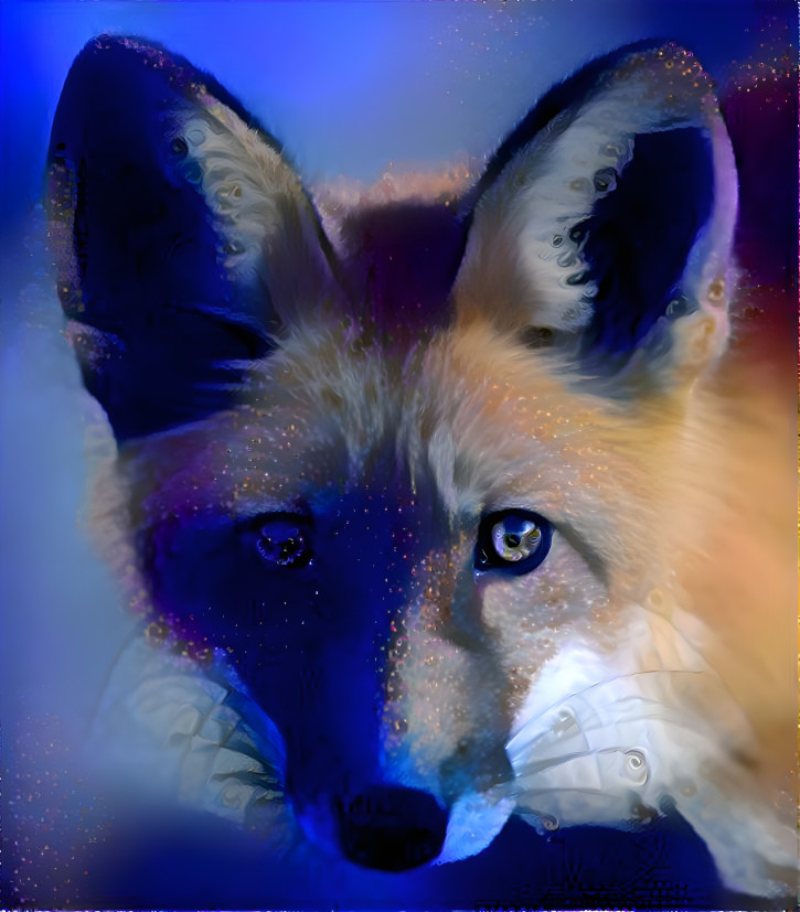 Night fox