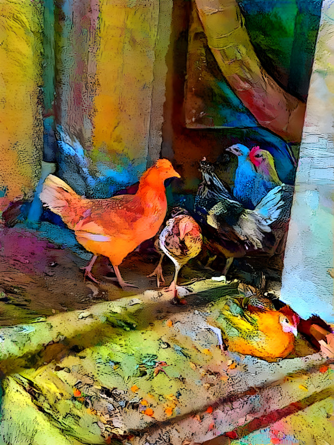  chicken family