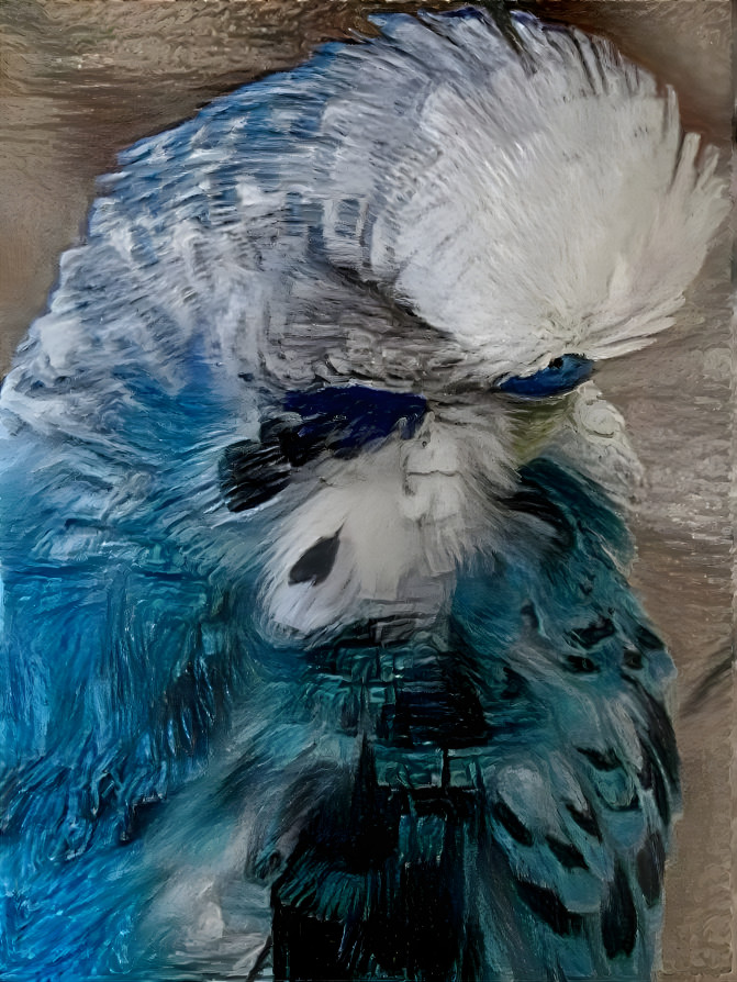 Best Budgie