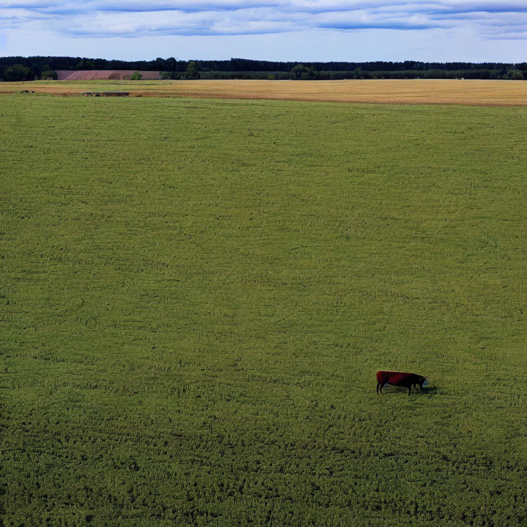 Green field with red tractor under vast sky & scattered clouds.