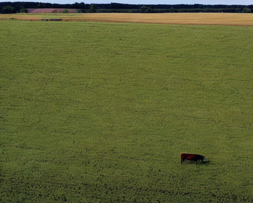 Green field with red tractor under vast sky & scattered clouds.