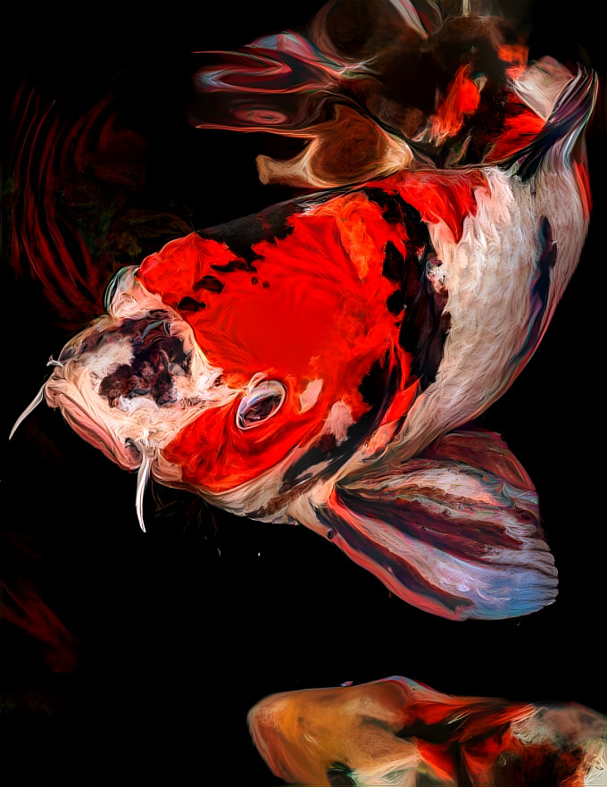 Koi Fish 