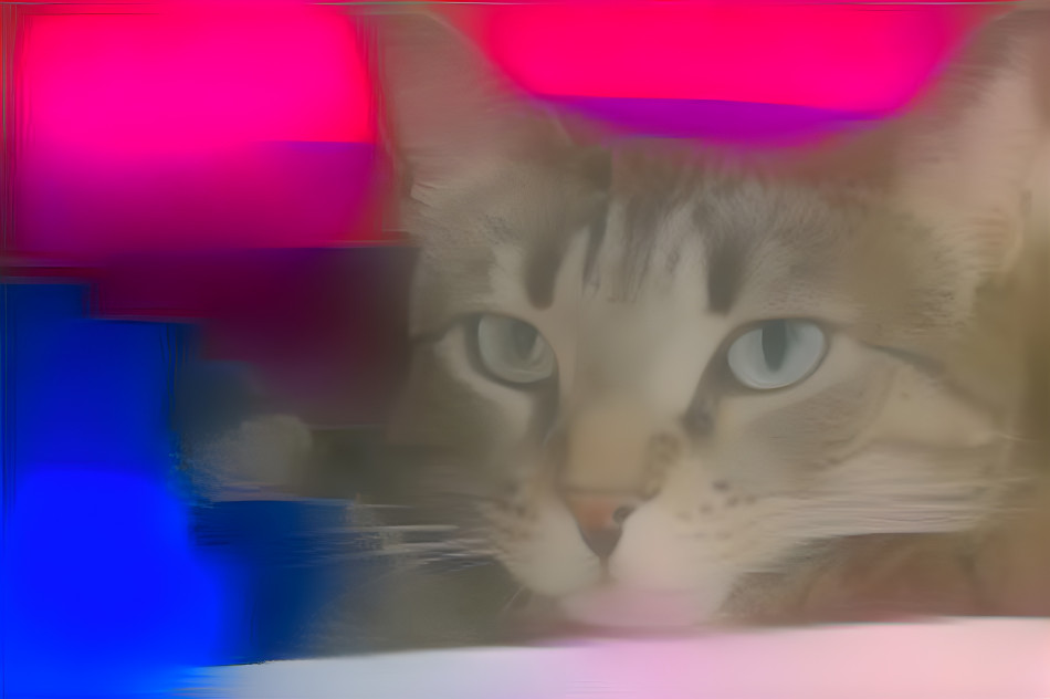 BI CAT