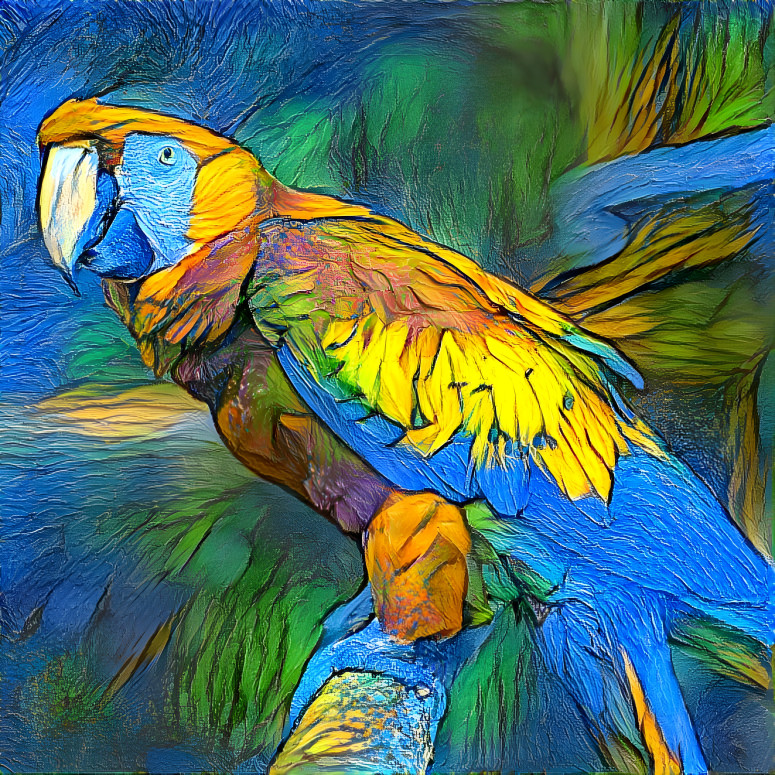 Beautiful macaws 