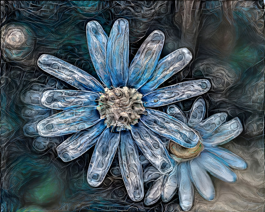 Blue flower 