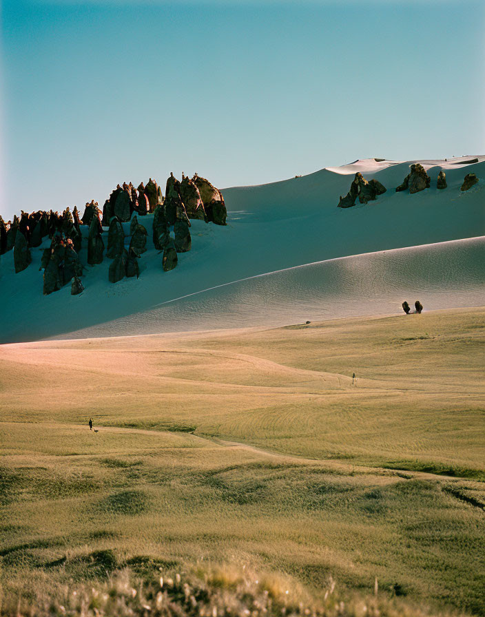 Tranquil Landscape: Grass Plains to Sandy Dunes