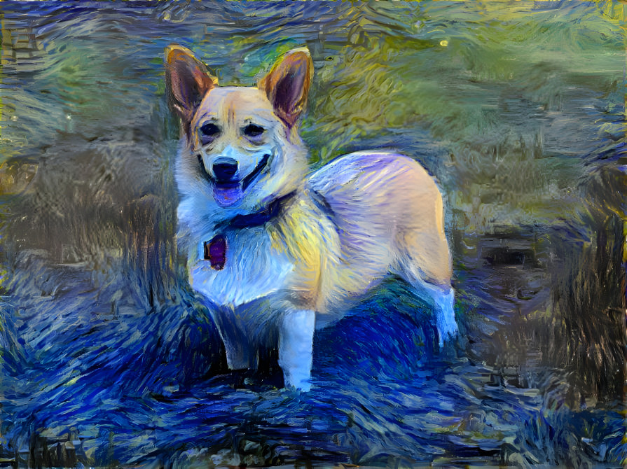 Corgi