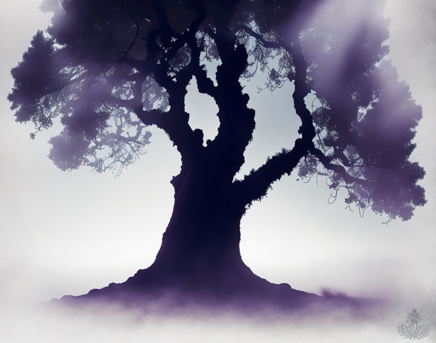 Sturdy tree silhouette on misty purple gradient background