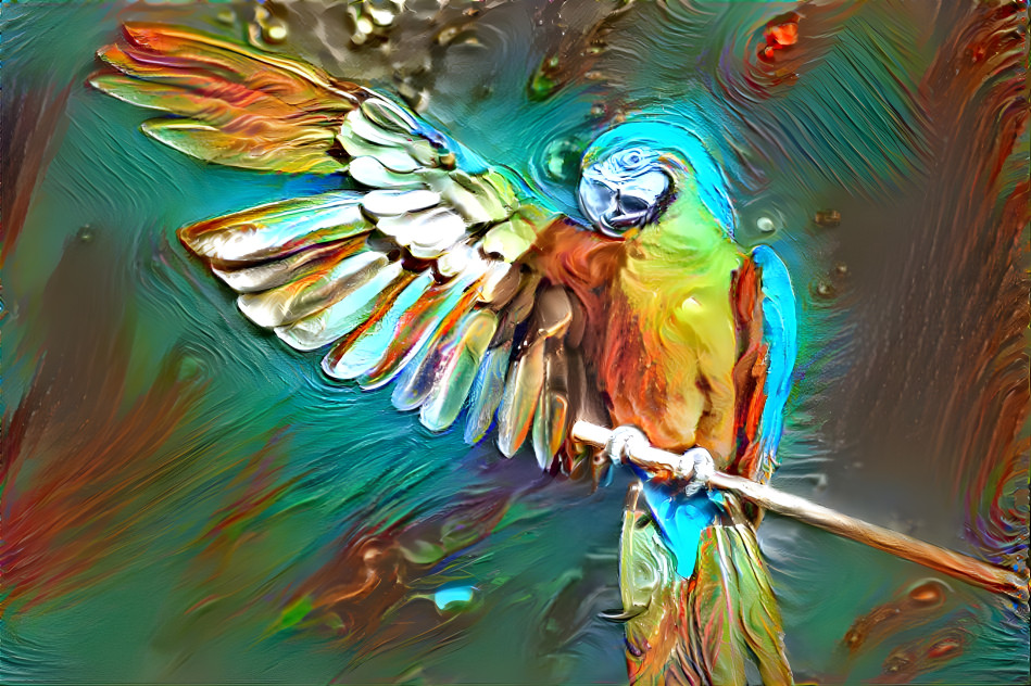 Parrot with feather