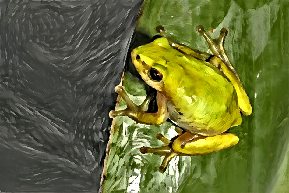 Green leaf frog