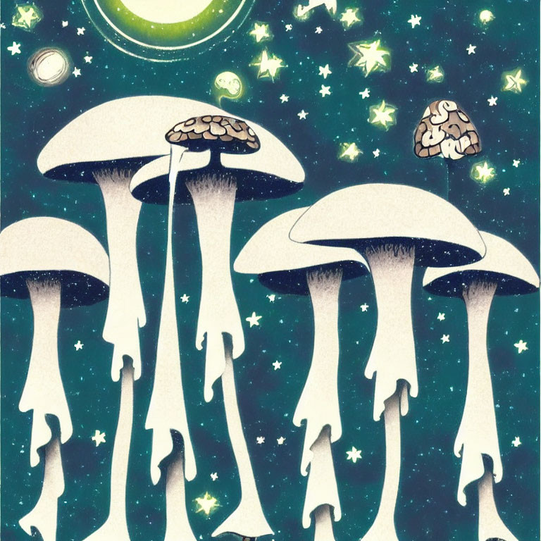 Stylized mushroom illustrations with brain caps under starry night sky