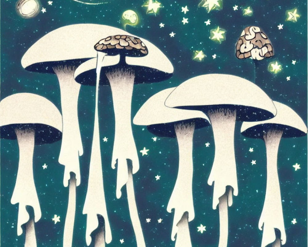 Stylized mushroom illustrations with brain caps under starry night sky