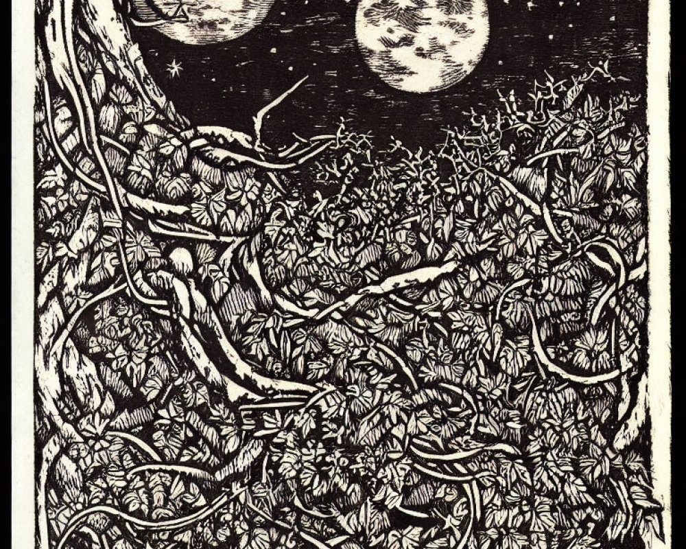 Detailed black and white woodcut style illustration of dense foliage under two full moons and stars