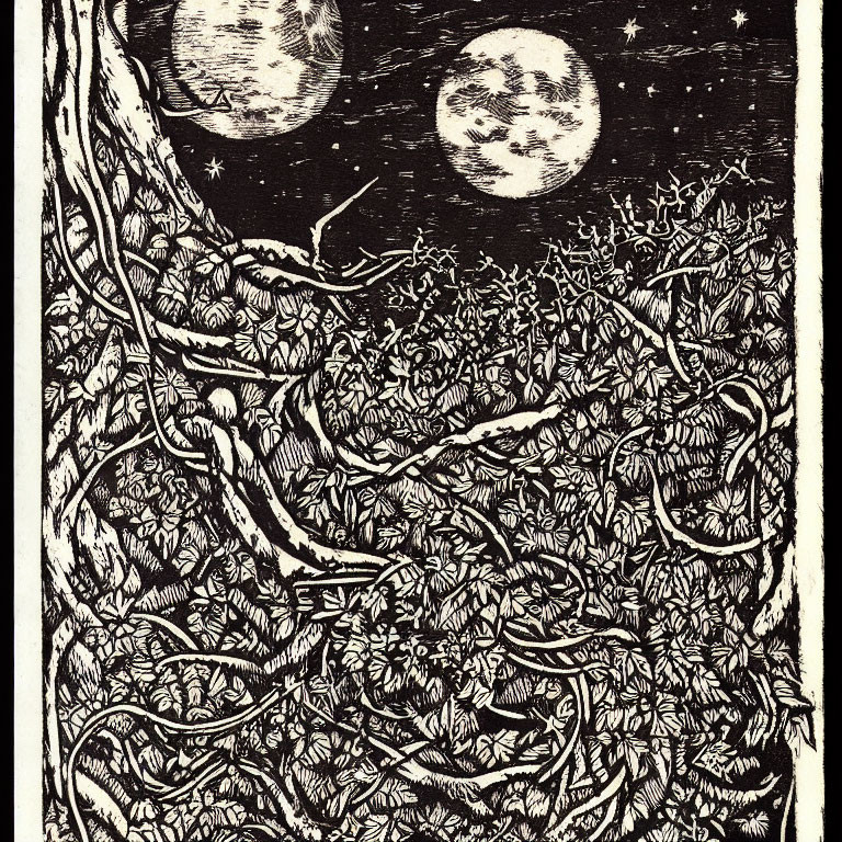 Detailed black and white woodcut style illustration of dense foliage under two full moons and stars