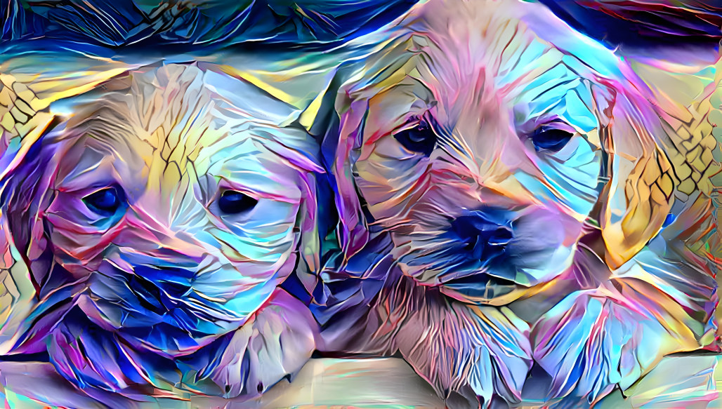 dogs