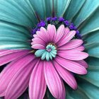 Vibrant digital artwork of pink flower on turquoise background