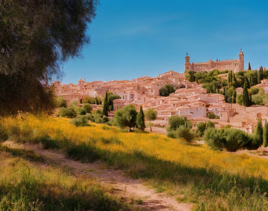 Historical hillside town with terracotta rooftops and lush greenery