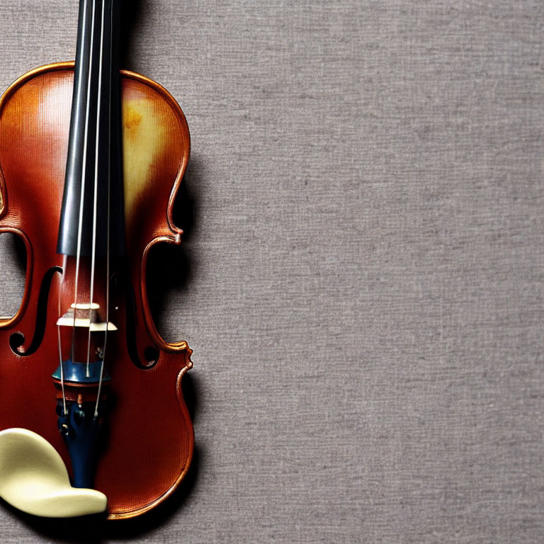 Violin and Bow Against Gray Background: Polished Wood and Fine Strings