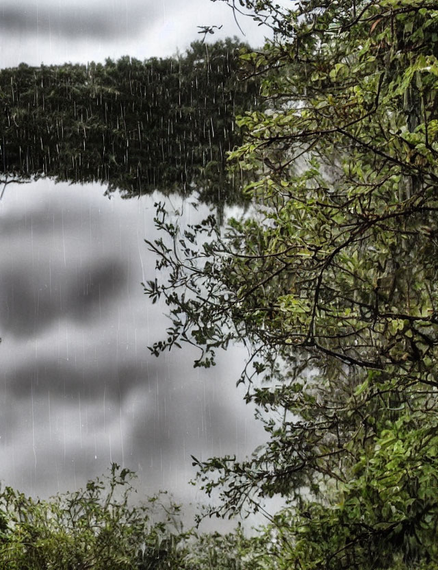 Serene lake and lush foliage under grey, overcast sky