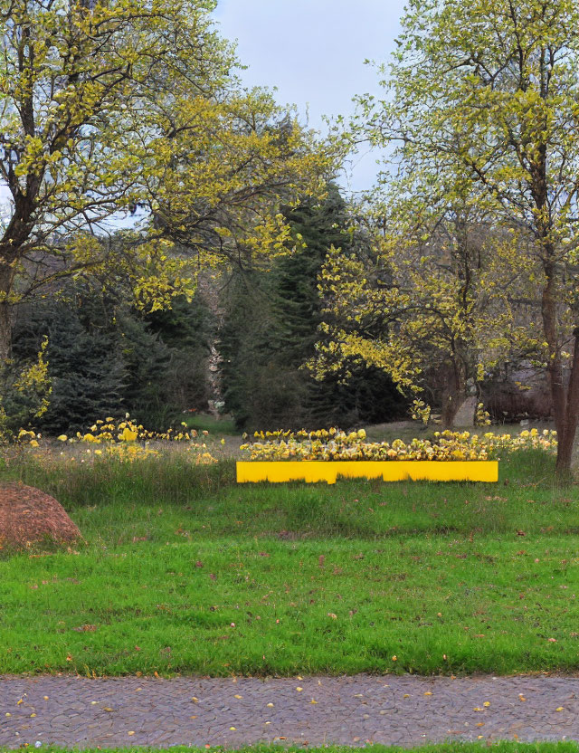 Lush Green Park with Yellow Flowers, Path, and Bench