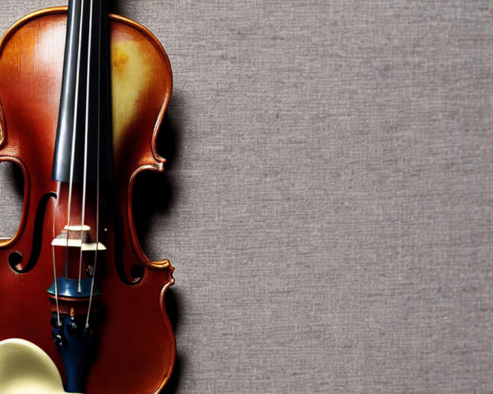 Violin and Bow Against Gray Background: Polished Wood and Fine Strings