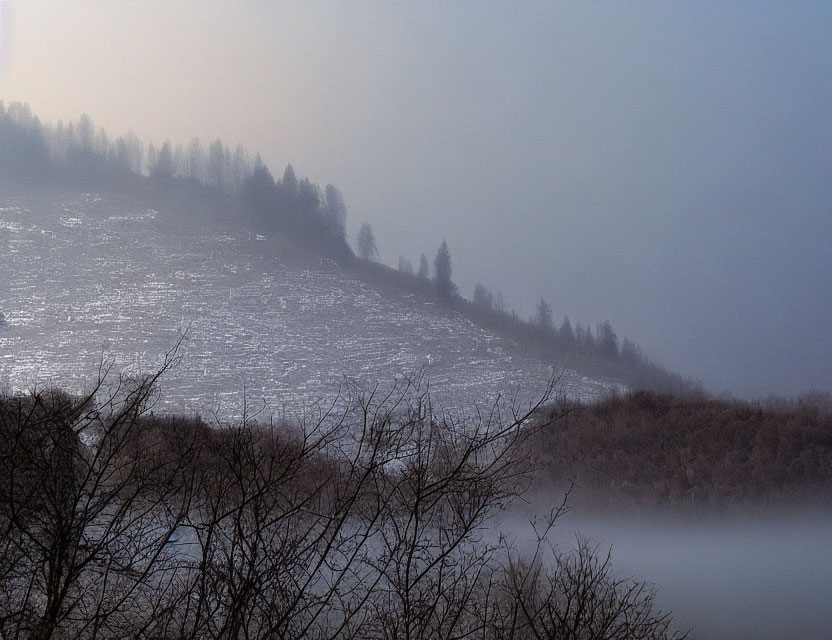 Foggy Hill Landscape with Silhouetted Trees and Sunlight Reflection